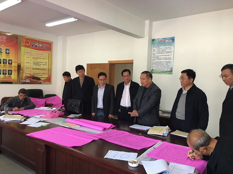 常州市金坛区人大网-区人大领导督查金城镇选民登记工作