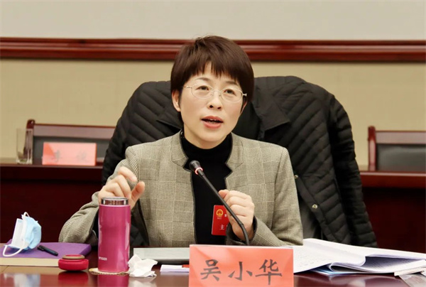 聚焦两会陆秋明吴小华等区领导参加代表团集中审议